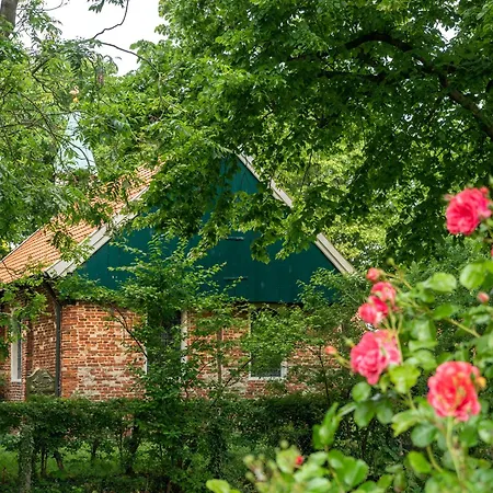 Deichblick Suederloog 40 Whg 2