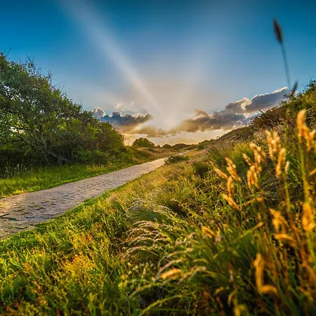 Deichblick Suederloog 40 Whg 2 Spiekeroog