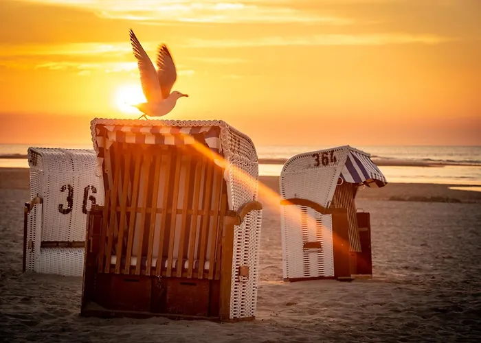 Апартаменты Deichblick Suederloog 40 Whg 2 Шпикерог