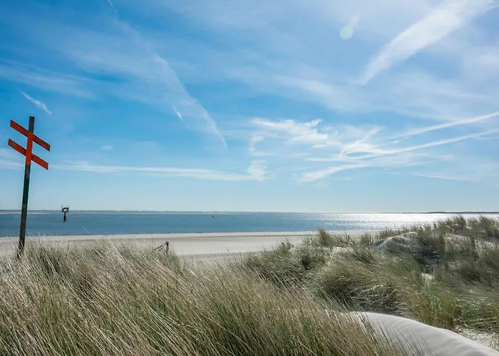 Апартаменты Deichblick Suederloog 40 Whg 2 Шпикерог