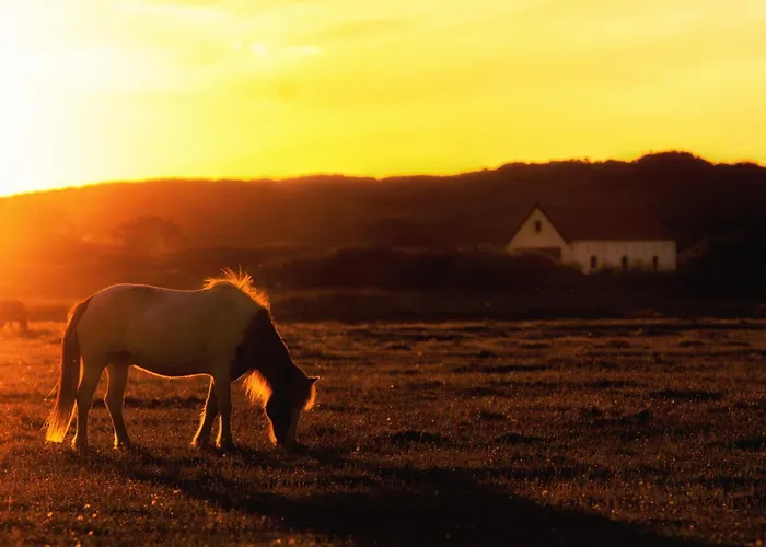 Deichblick Suederloog 40 Whg 2 *