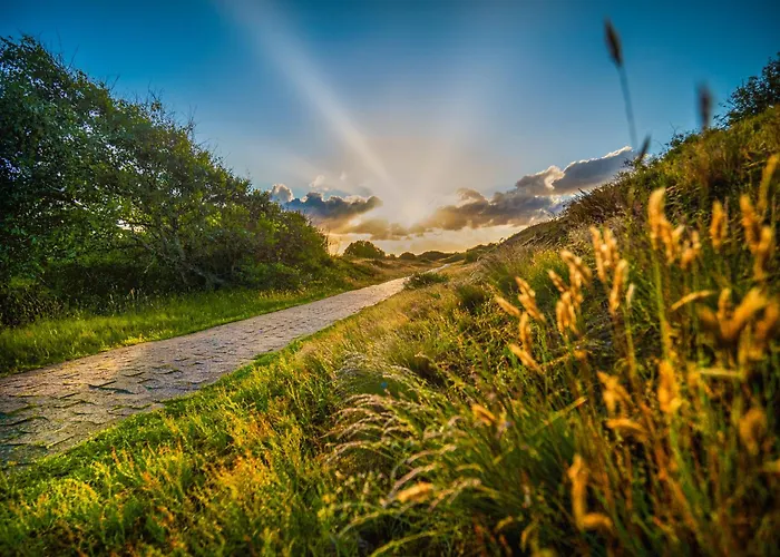 Deichblick Suederloog 40 Whg 2 Шпикерог